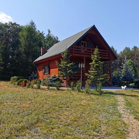 Domek Na Wsi Nad Jeziorem , Prywatny Staw Kamienczyk Dezerta Kültér fotó
