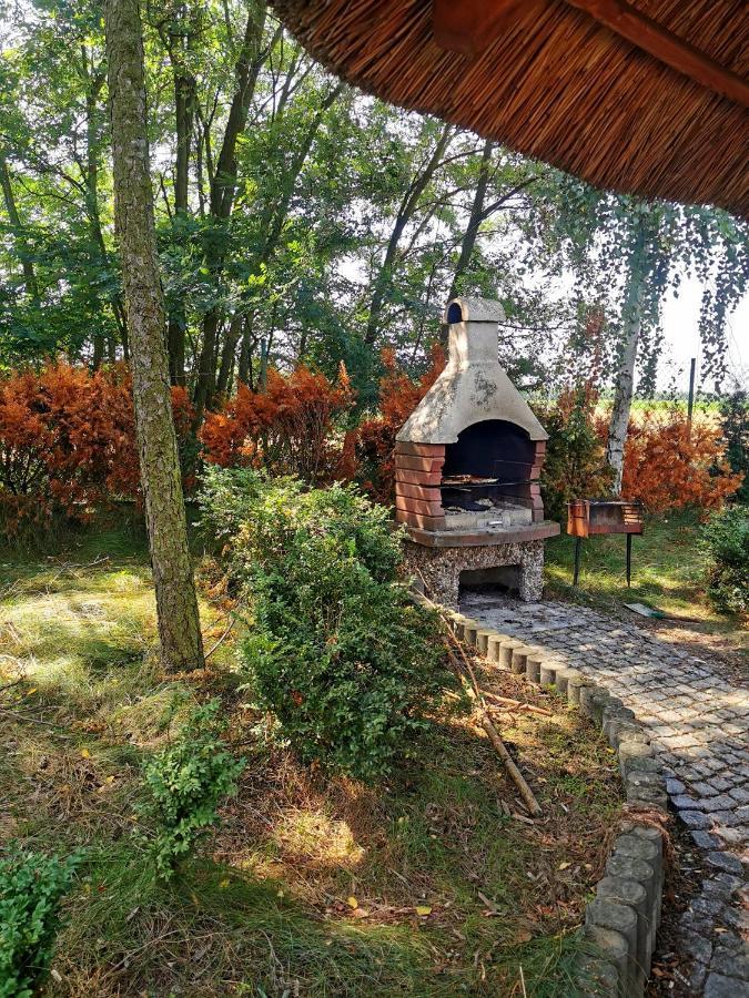 Domek Na Wsi Nad Jeziorem , Prywatny Staw Kamienczyk Dezerta Kültér fotó